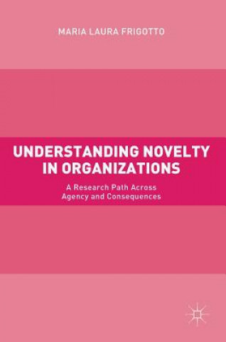 Kniha Understanding Novelty in Organizations Maria Laura Frigotto