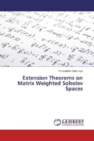 Könyv Extension Theorems on Matrix Weighted Sobolev Spaces Christopher Ryan Loga