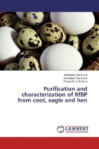 Kniha Purification and characterization of RfBP from coot, eagle and hen Madhukar Rao Kudle