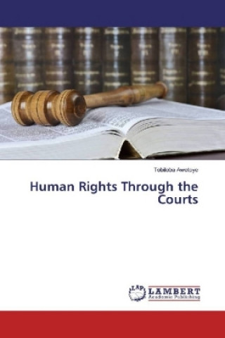 Carte Human Rights Through the Courts Tobiloba Awotoye