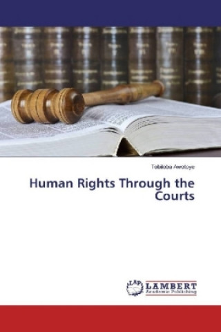 Kniha Human Rights Through the Courts Tobiloba Awotoye