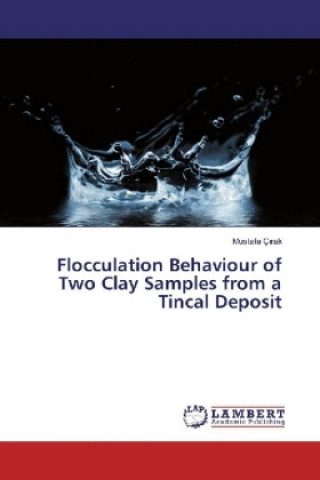 Könyv Flocculation Behaviour of Two Clay Samples from a Tincal Deposit Mustafa Çirak
