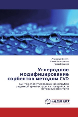 Carte Uglerodnoe modificirovanie sorbentov metodom CVD Alexandr Babkin