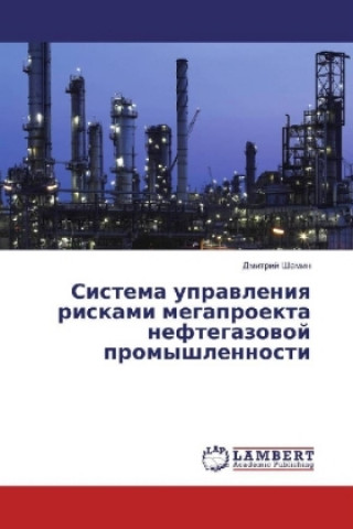 Buch Sistema upravleniya riskami megaproekta neftegazovoj promyshlennosti Dmitrij Shamin