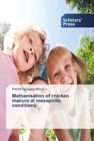 Könyv Methanisation of chicken manure at mesophilic conditions Patrick Ngogang Mfeyom