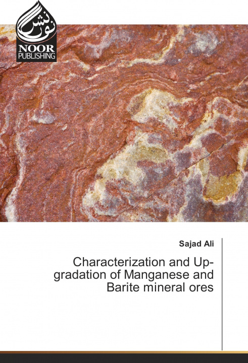 Kniha Characterization and Up-gradation of Manganese and Barite mineral ores Sajad Ali