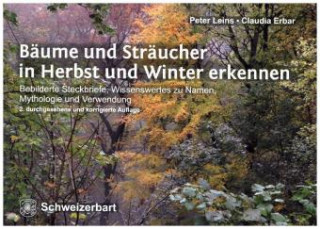 Kniha Bäume und Sträucher in Herbst und Winter erkennen Peter Leins