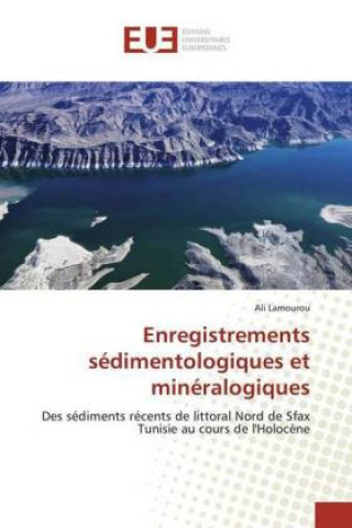 Kniha Enregistrements sédimentologiques et minéralogiques Ali Lamourou