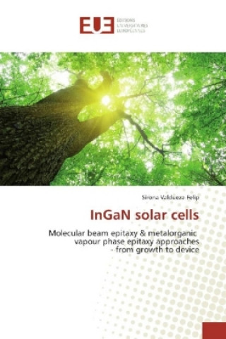 Kniha InGaN solar cells Sirona Valdueza-Felip