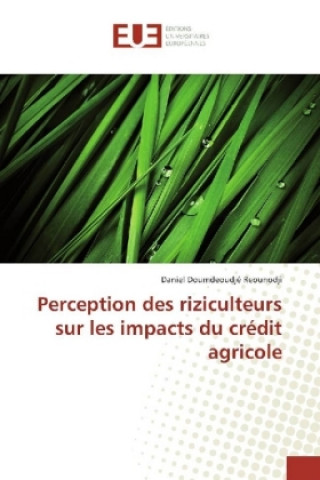 Книга Perception des riziculteurs sur les impacts du crédit agricole Daniel Doumdeoudjé Reounodji