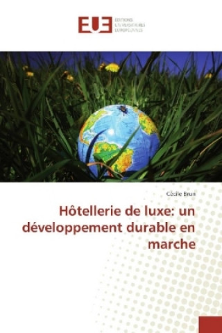 Könyv Hôtellerie de luxe: un développement durable en marche Cécile Brun