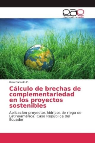 Książka Cálculo de brechas de complementariedad en los proyectos sostenibles Galo Gallardo C.