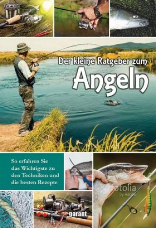 Kniha Angeln 