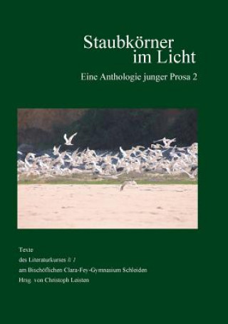 Книга Staubkoerner im Licht Christoph Leisten