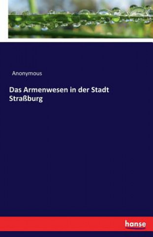 Könyv Armenwesen in der Stadt Strassburg Anonymous