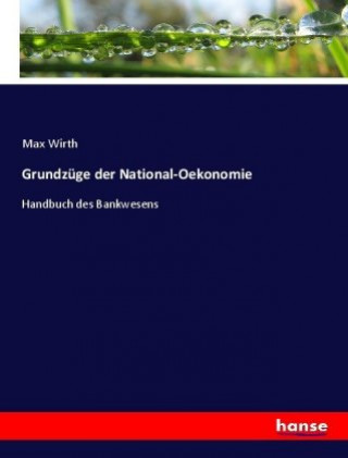 Buch Grundzuge der National-Oekonomie Max Wirth