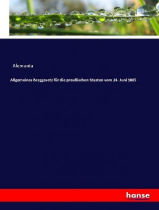 Knjiga Allgemeines Berggesetz für die preußischen Staaten vom 24. Juni 1865 Alemania