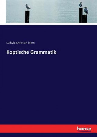 Carte Koptische Grammatik Stern Ludwig Christian Stern