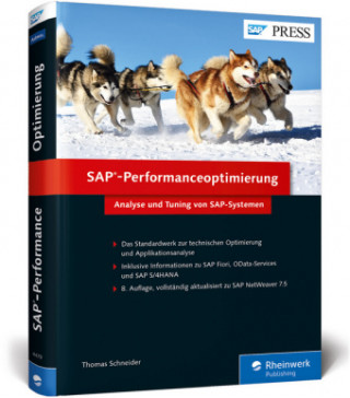 Book SAP-Performanceoptimierung Thomas Schneider