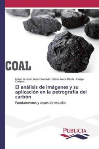 Carte El análisis de imágenes y su aplicación en la petrografía del carbón Felipe de Jesús López Saucedo