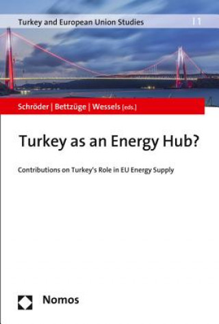 Kniha Turkey as an Energy Hub? Mirja Schröder