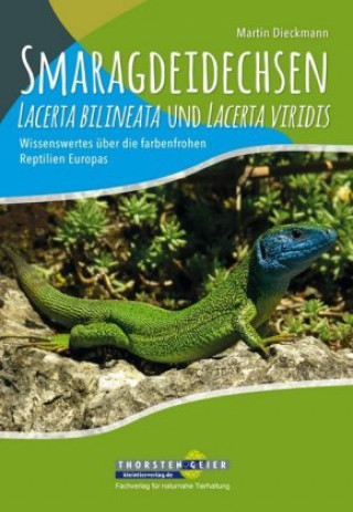 Kniha Smaragdeidechsen Lacerta bilineata und Lacerta viridis Martin Dieckmann