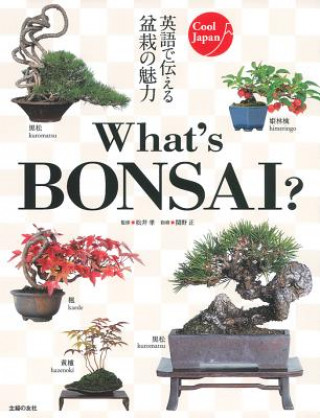 Kniha Whats Bonsai Takashi Matsui