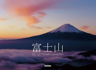 Kniha Mt.Fuji Shigeki Yamashita