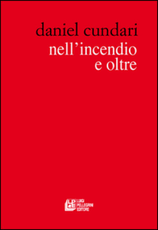 Knjiga Nell'incendio e oltre Daniel Cundari