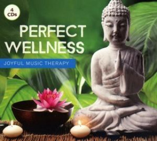 Audio Perfect Wellness-Joyful Music Therapy Various