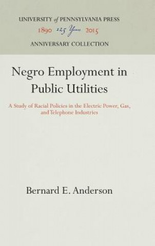 Книга Negro Employment in Public Utilities Bernard E. Anderson