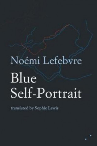 Livre Blue Self-Portrait Noemi Lefevre