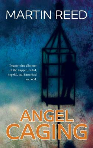 Buch Angel Caging Martin Reed
