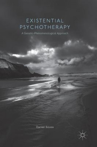 Buch Existential Psychotherapy Daniel Sousa