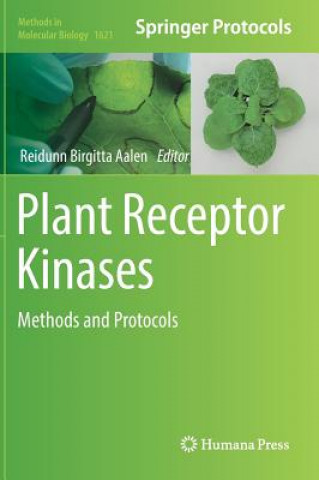 Livre Plant Receptor Kinases Reidunn Birgitta Aalen