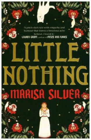 Kniha Little Nothing Marisa Silver