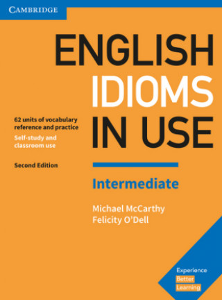 Книга English Idioms in Use Intermediate 2nd Edition Michael McCarthy