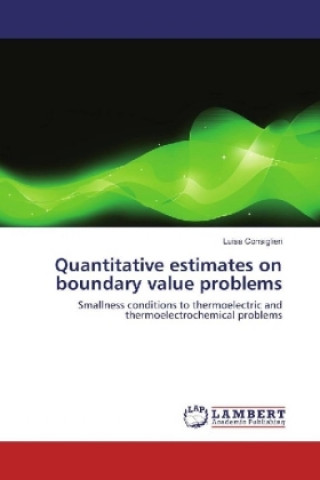 Knjiga Quantitative estimates on boundary value problems Luisa Consiglieri