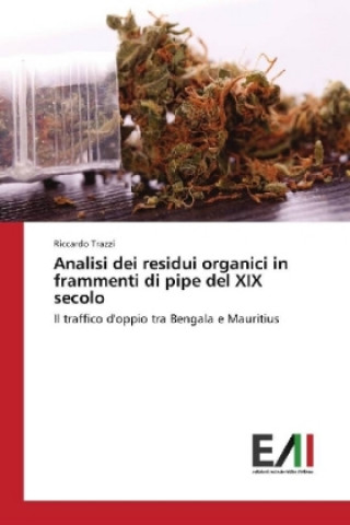 Könyv Analisi dei residui organici in frammenti di pipe del XIX secolo Riccardo Trazzi