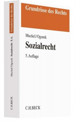 Könyv Sozialrecht Stefan Muckel