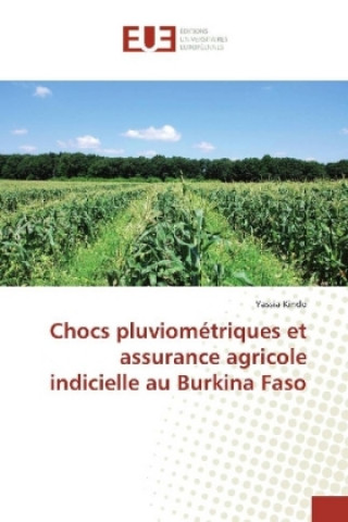 Kniha Chocs pluviométriques et assurance agricole indicielle au Burkina Faso Yassia Kindo