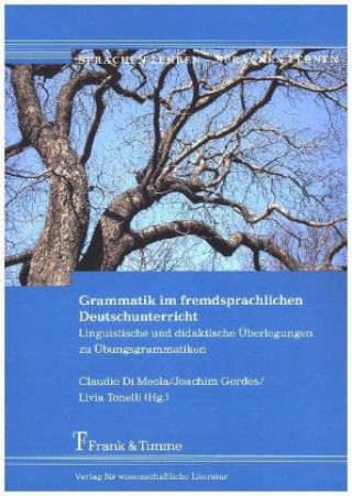 Kniha Grammatik im fremdsprachlichen Deutschunterricht Claudio Di Meola