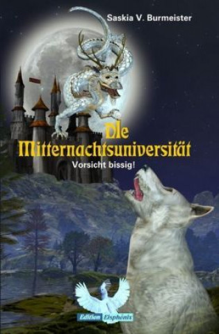 Book Die Mitternachtsuniversität Saskia Burmeister