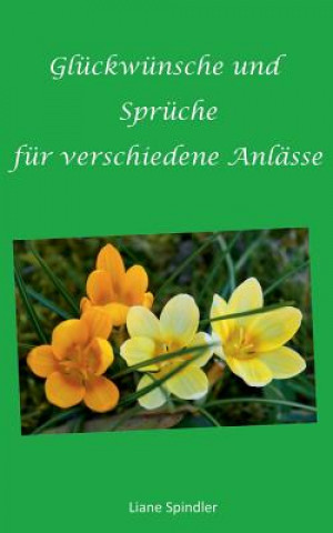 Kniha Gluckwunsche und Spruche fur verschiedene Anlasse Liane Spindler