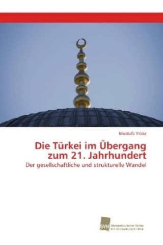 Kniha Die Türkei im Übergang zum 21. Jahrhundert Mustafa Yildiz