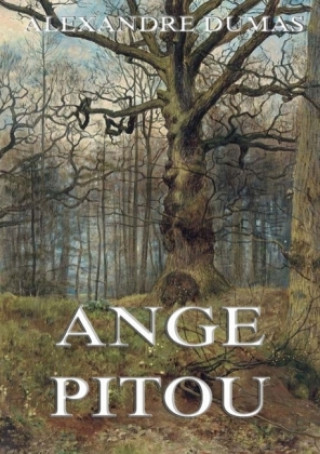 Buch Ange Pitou Alexandre Dumas