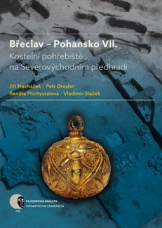 Könyv Břeclav - Pohansko VII. Jiří Macháček