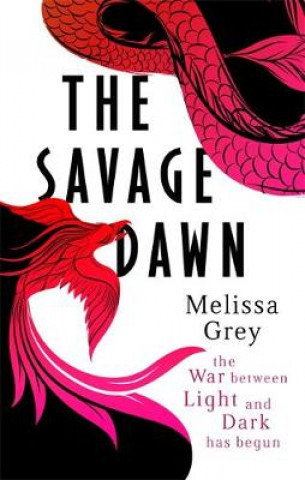 Kniha Savage Dawn Melissa Grey