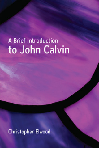 Kniha Brief Introduction to John Calvin Christopher Elwood