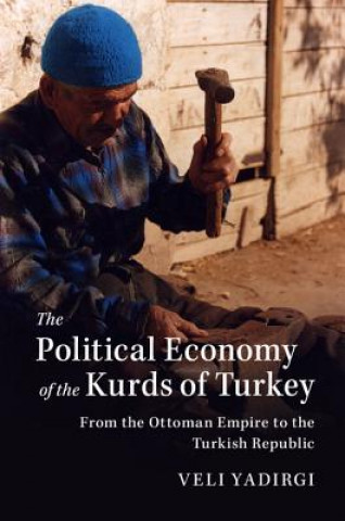 Könyv Political Economy of the Kurds of Turkey YADIRGI  VELI